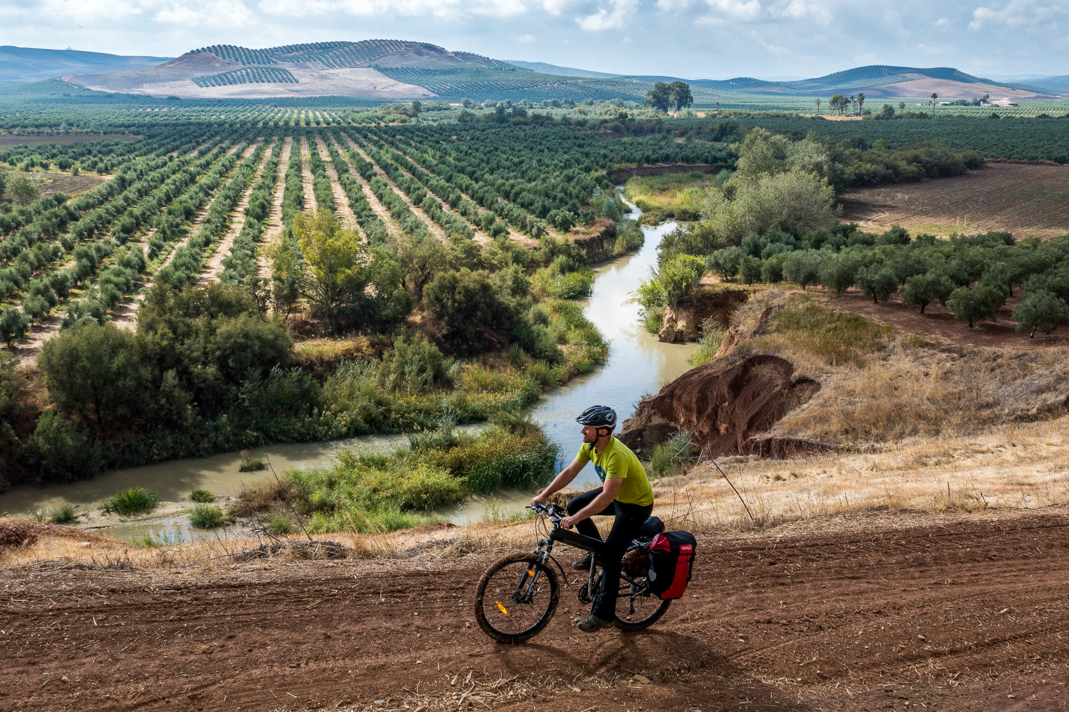 In Andalusien geht es auf einsamen Wegen durch endlose Olivenplantagen.